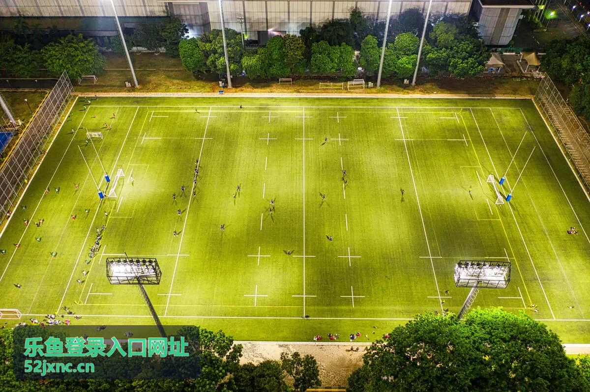 乐鱼功能模块概览